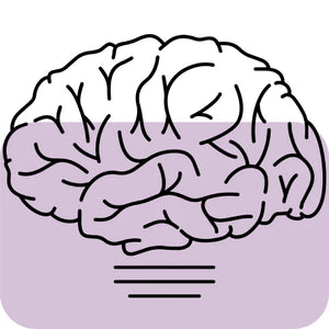 Brain Health